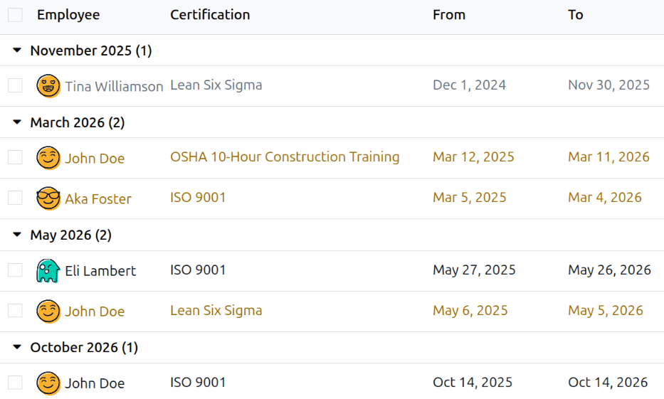 The list of employee certifications, grouped by status.