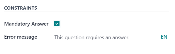 The Constraints section in the options tab in Axis Surveys.
