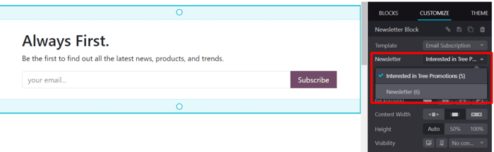 The newsletter drop-down menu in the customize sidebar that appears in Axis Website.